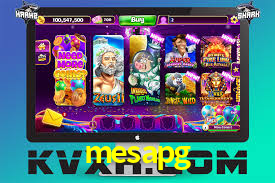 Programa VIP mesapg